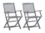 Chair (Set of 2) - with Cushions, Gray, Wood